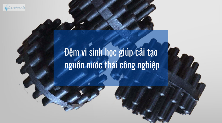 Đệm vi sinh giúp cải tạo nguồn nước thải công nghiệp