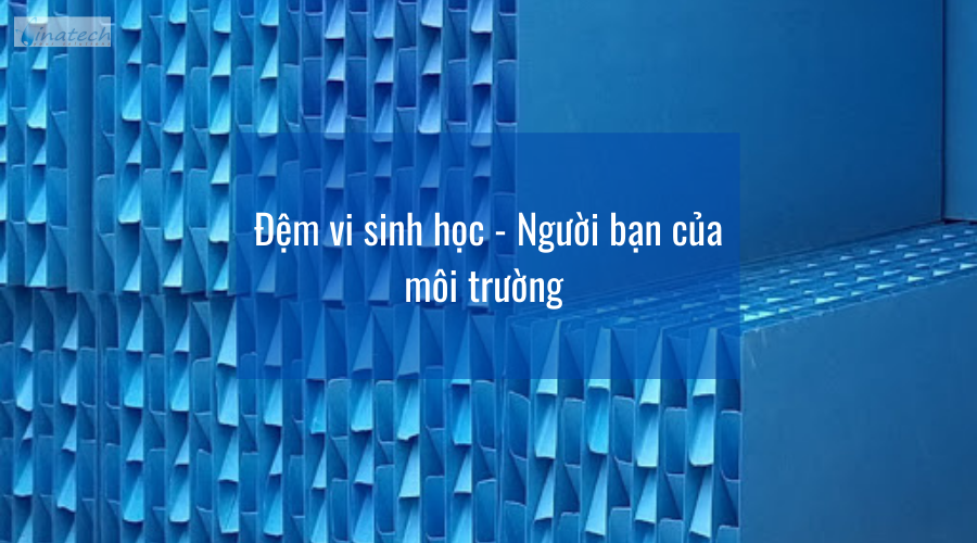 Đệm vi sinh - Bạn đồng hành của môi trường