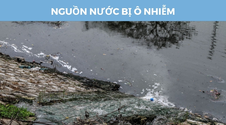 nguồn nước ô nhiễm do xả thải trực tiếp